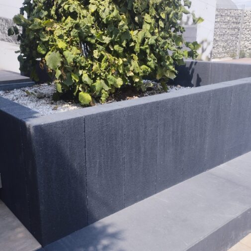 Palisada Grand Pater Group
